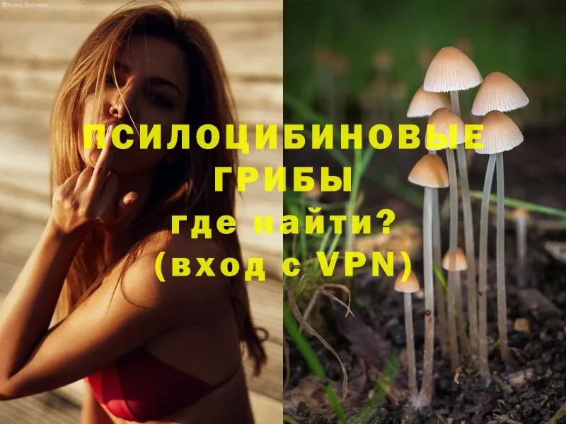 Галлюциногенные грибы MAGIC MUSHROOMS  Кондрово 